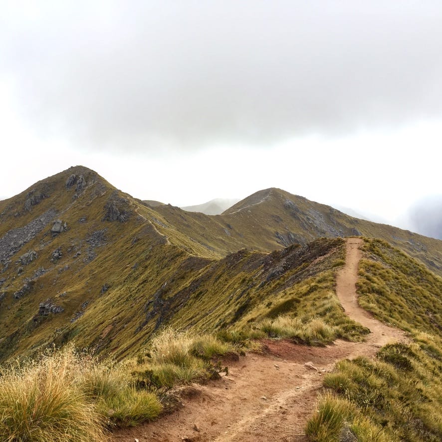 7BB7273C-F00F-45EB-AEE3-A9B9ED871B42_1_105_c The Kepler Track ridge view in New Zealand.